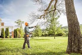 Best Seasonal Cleanup (Spring/Fall)  in Buena Park, CA