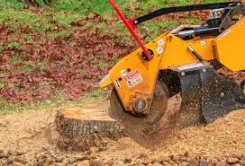Best Lawn Irrigation Installation and Maintenance  in Buena Park, CA